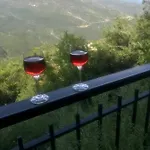 Διαμέρισμα Gourgiana Ανδρίτσαινα