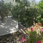 Gourgiana Ανδρίτσαινα