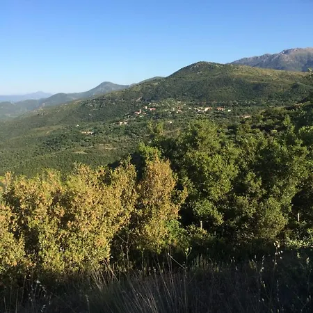 Gourgiana Ανδρίτσαινα