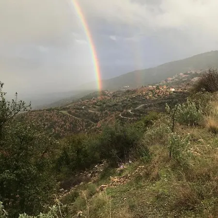 Gourgiana Ανδρίτσαινα