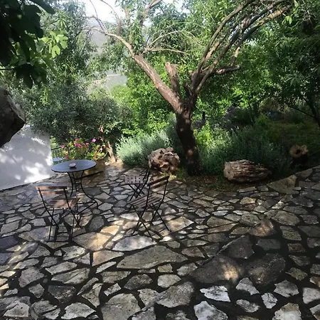 Διαμέρισμα Gourgiana Ανδρίτσαινα