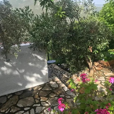 Gourgiana Andritsaina