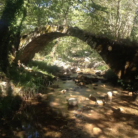 Gourgiana Διαμέρισμα Ανδρίτσαινα