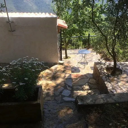 Gourgiana Ανδρίτσαινα