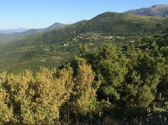 Gourgiana Andritsaina