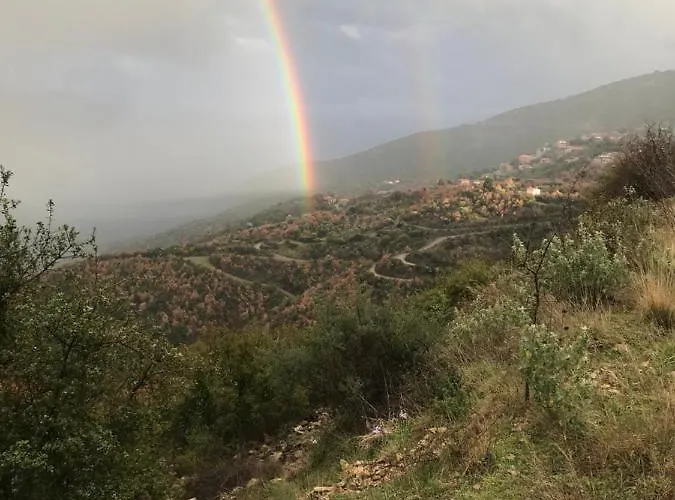 Gourgiana Andrícena