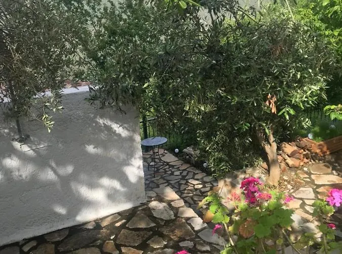 Gourgiana Andrícena