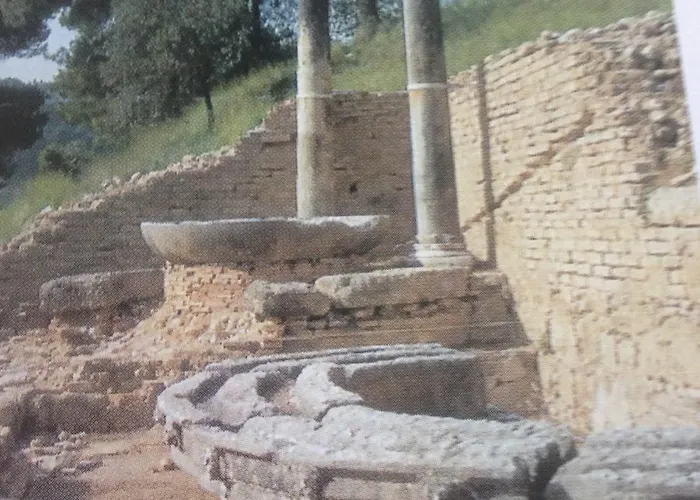 Gourgiana Andrícena