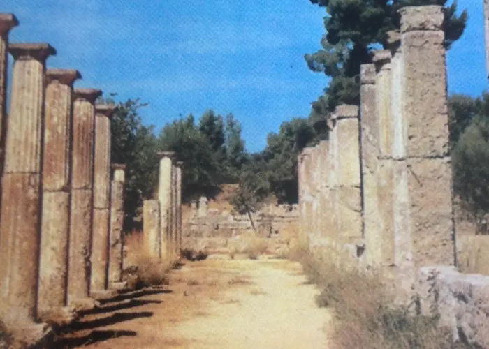 Gourgiana * Andrícena