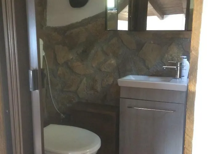 Gourgiana Andrícena