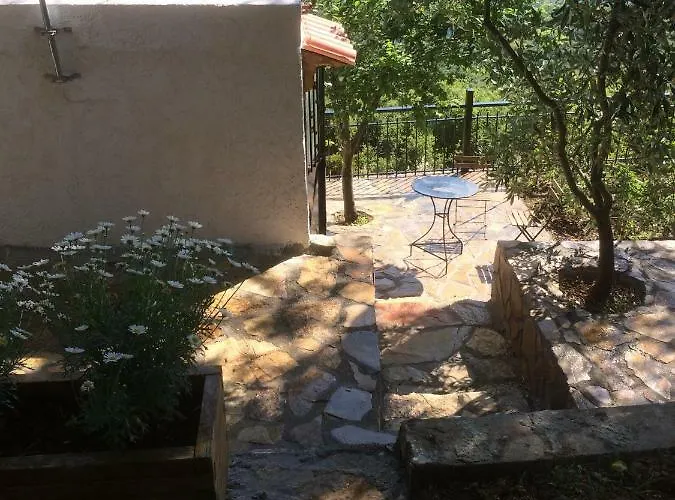 Gourgiana Andrícena